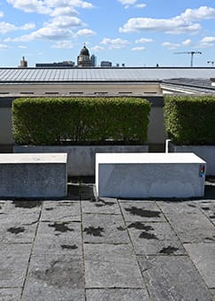 Musterreinigung einer Sitzbank aus Weißbeton