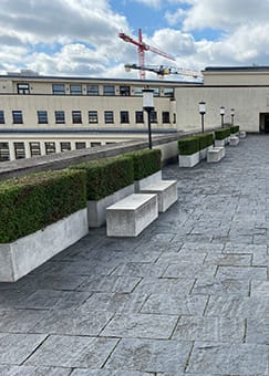 Allee mit Hecken und Bänken, Schadensaufnahme, Konzepterstellung